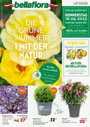 Bellaflora Katalog in Wien | Angebote Prospekt | 2.5.2023 - 24.5.2023