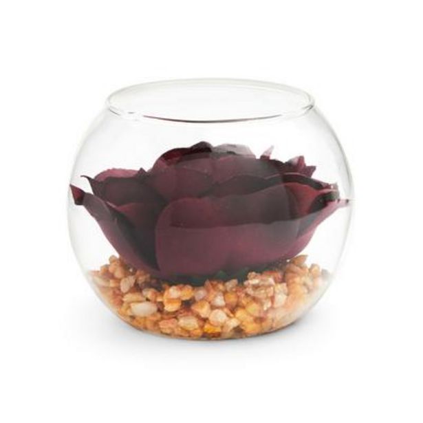 Kleine Glasvase mit Kunstblume für 2€