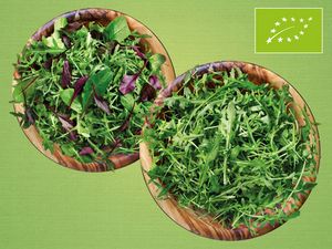 Bio Mix-Salat, Bio Vogerlsalat oder Bio Rucola für 1€ in Lidl