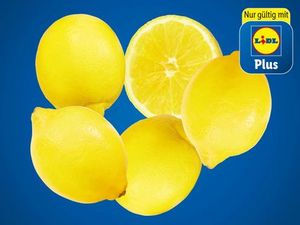 Bio Zitronen für 1,49€ in Lidl