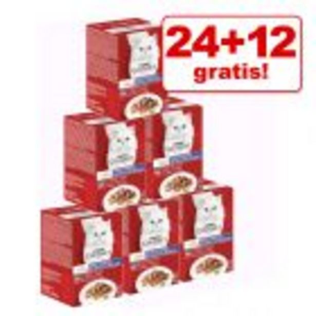24 + 12 gratis! 36 x 50 g Mixpaket Gourmet Mon Petit Katzenfutter für 9,89€ in Zooplus