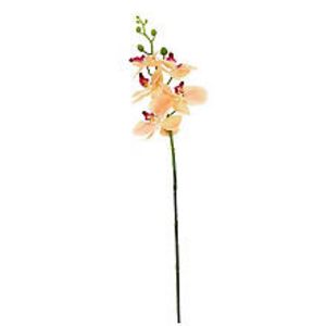 Orchidee, lachs, 65 cm für 3,99€ in Buttinette
