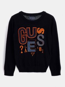 Pullover mit Logo-Patch für 50€ in Guess