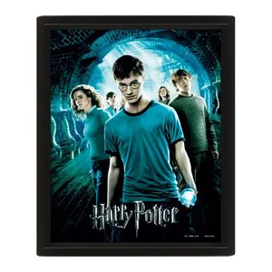 Harry Potter 3D Lenticular Poster (Framed) Order of the Phoenix ca. 25 x 20 cm bunt für 9,99€ in Libro