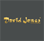 Logo David Jones